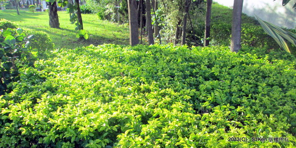 cm20131017___34428a9e6ef3bd643896da3c837