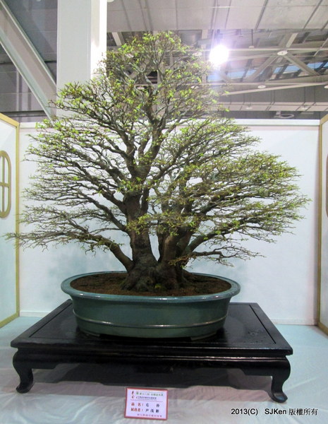 cm20131018___eab65c1933b185b4b1e867891f0