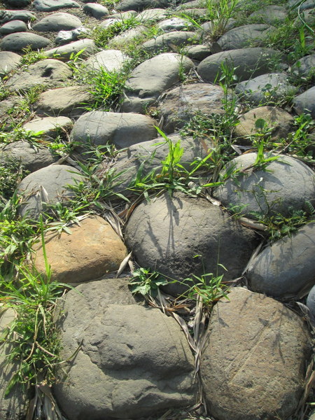 cm20131019___cc6a753f9f69b84cd471966aa7d