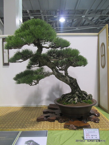 cm20131018___20ca8b6746eb90df4939b495f37