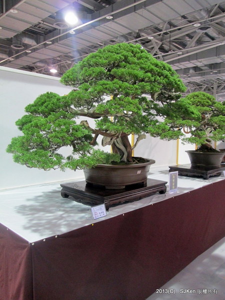 cm20131018___a826c880af475cfea9831f8f395