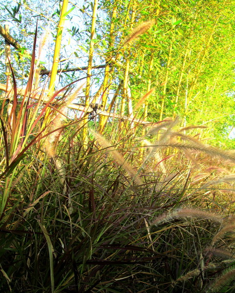 cm20131019___3aedae309c232381033063b72e0