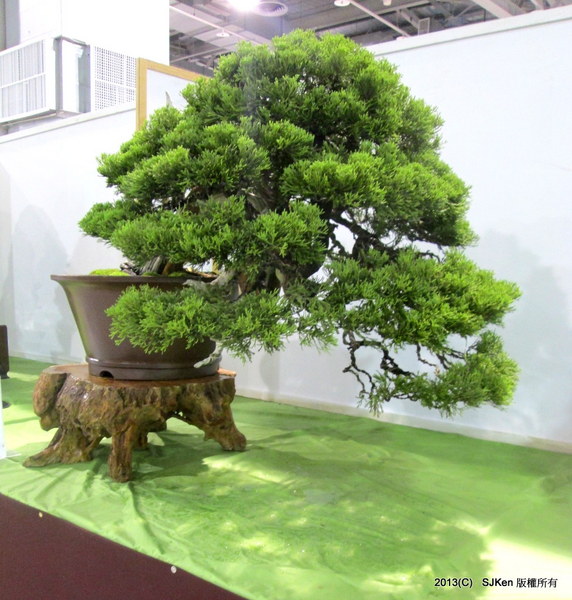 cm20131018___1de153034e6a9f87d60e415b61b