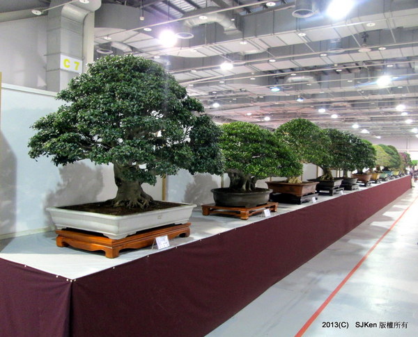 cm20131018___e5489237d80c13fe04b6c70ac52