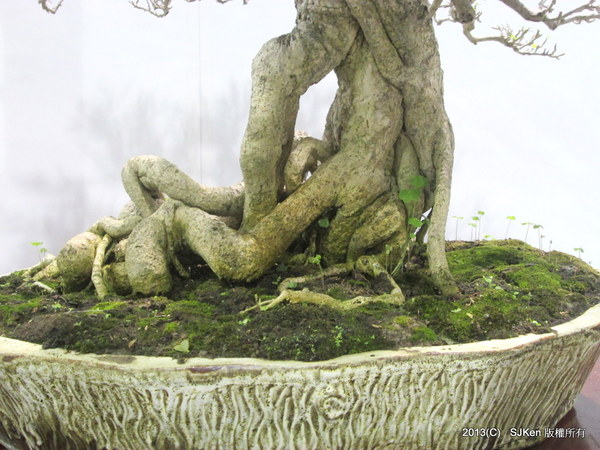 cm20131018___314d2e3289433ce694b804cce07