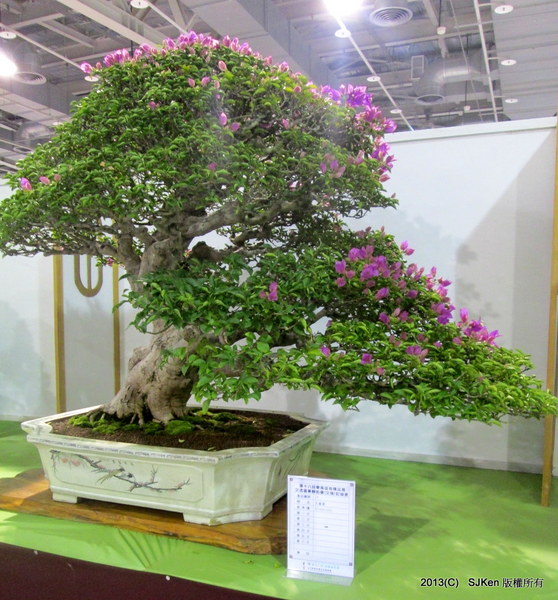 cm20131018___43914c3fd89b0550145ca1f52d6