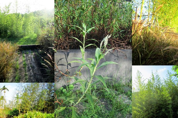 cm20131019___b2dc901714800c9781776688761