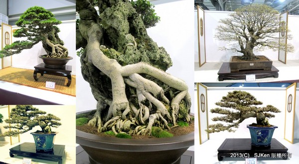 cm20131018___61eb0b810628434d319c620c897