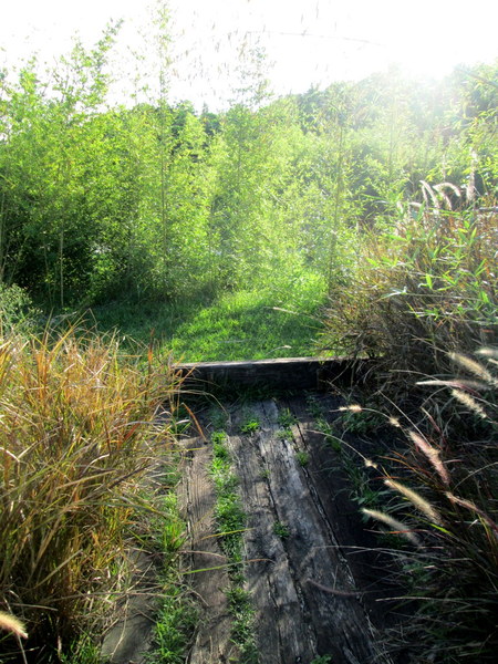 cm20131019___3a3ef5d064737981bf4486315ef