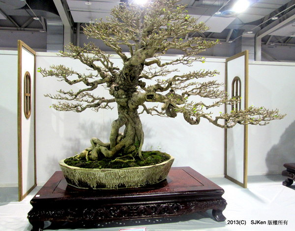 cm20131018___52e701b67a558227460ff8d1a7e