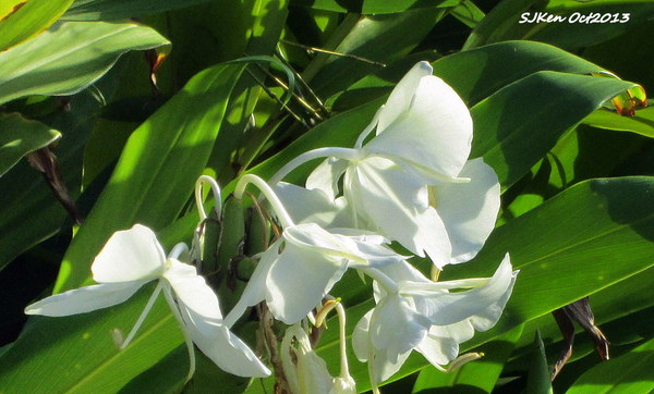 cm20131019___4b473e3cbdf1fff2b2c5b82e3f9