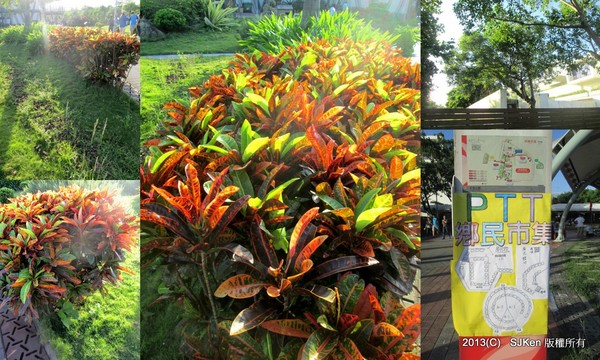 cm20131017___adc8ad2d00f93bcfa406cfba910