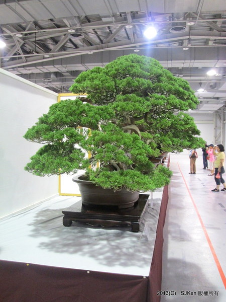 cm20131018___03d7660beed5e34424016949268