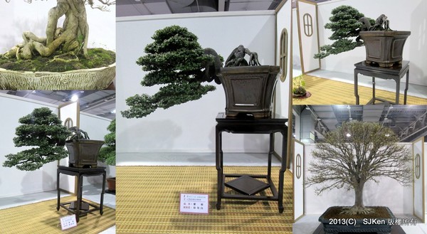 cm20131018___8faeb56a6fce1ba149920c595ad