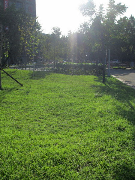 cm20131019___38973f76c6f49b3a4c2f8de0b11