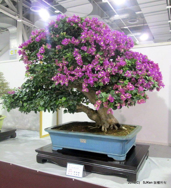 cm20131018___e8133d1237a33fd74556d6b36d5