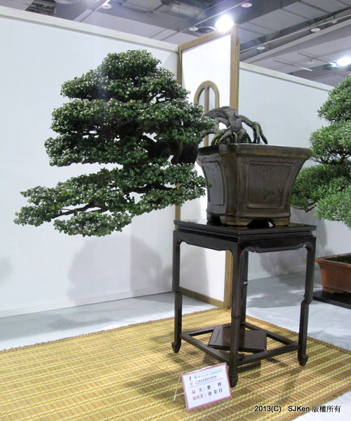 cm20131018___4f1a97b8a728e38db1ab2a8a353