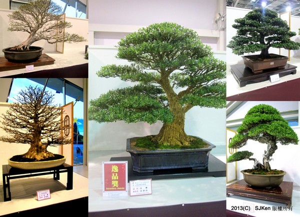 cm20131018___c4f8bdad6af490679f732307c7f