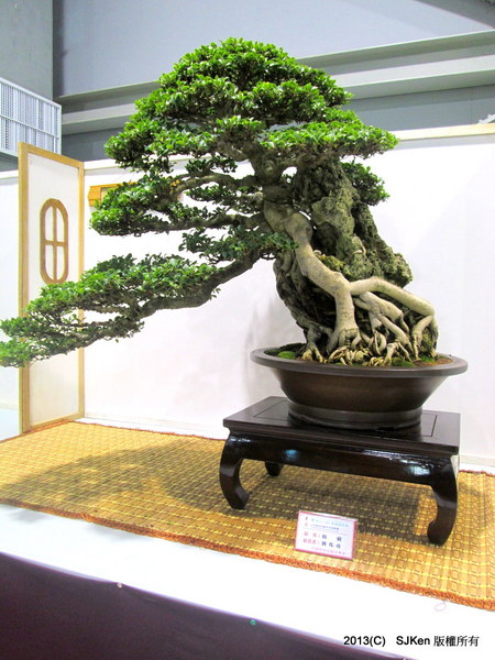 cm20131018___2f3ce9f88d5c6810482a5a8a8b4