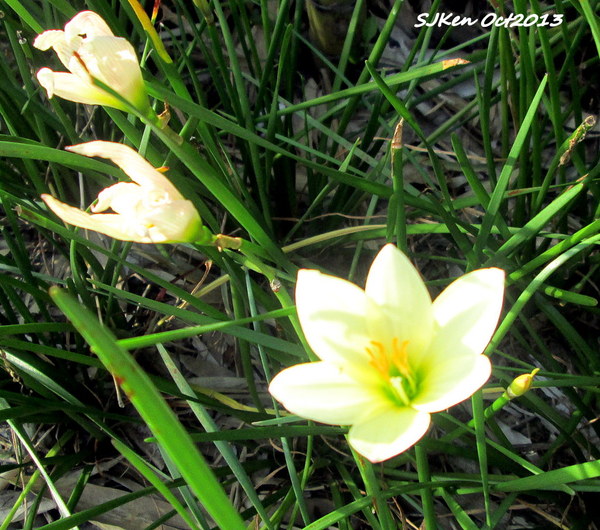 cm20131019___240e1c96d92d0bc88a78b591aea