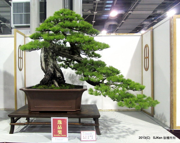 cm20131018___273bd028a0656df4eb88469f98a