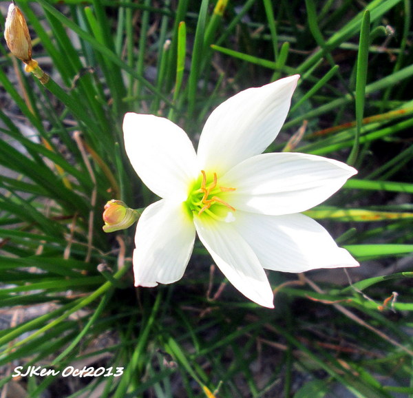 cm20131019___6e3334d16e5237e51acc467b383