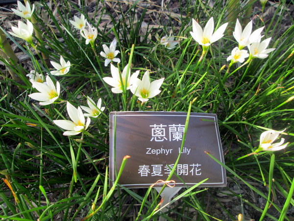 cm20131019___4fc6252076261071e52f88ab594