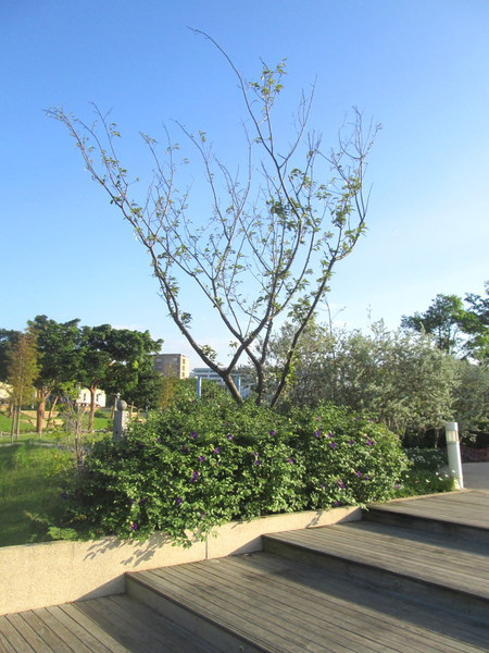 cm20131019___64900fca7adf7e142f75e563b45