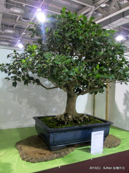 cm20131018___dc86bfa5113adf529a50b3b47ee