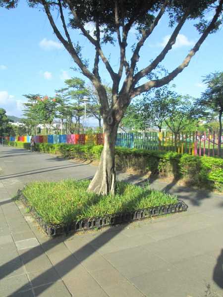 cm20131019___66aca3cd651b9882e1773c1f801