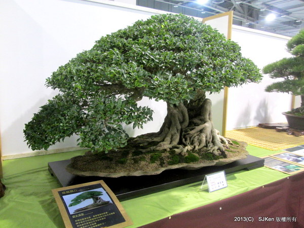 cm20131018___90ab0a0bb0c0d1a8e8ab1f30d84