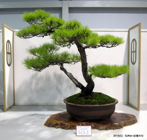 cm20131018___de3039334b265324a970a555656