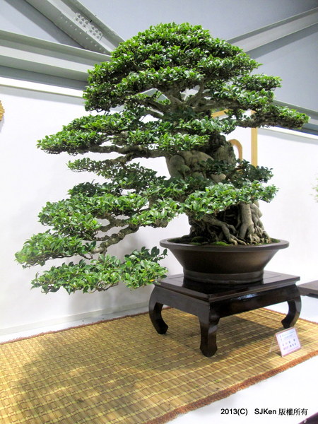 cm20131018___ae0f22a0d0a0e58ec218f388475