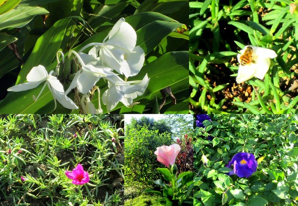 cm20131019___0062f916ab8dfb4bcc7cc400dd2