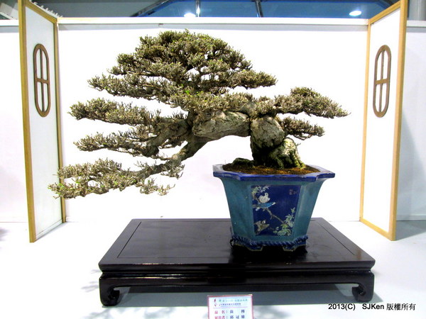 cm20131018___d5b9093a6ded94c205cc3c6aa56