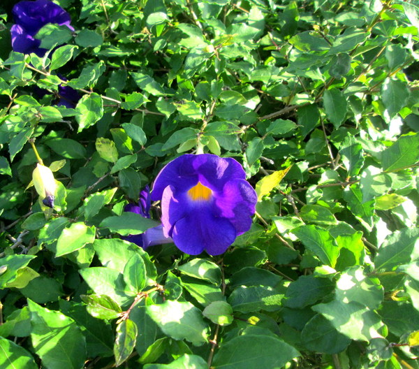 cm20131019___569e72e18948f7b9046c3ed1f05