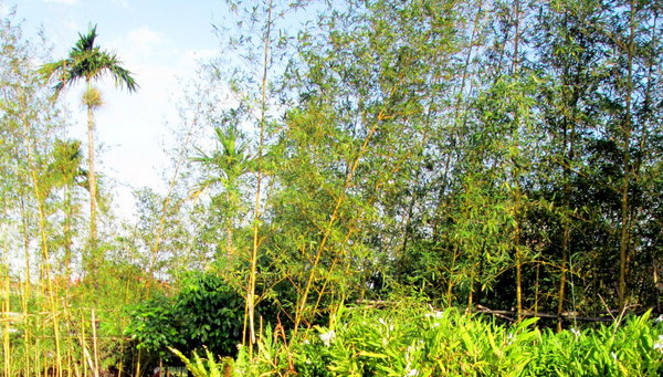 cm20131019___0cab3a58b160c38a2772bc99bcc