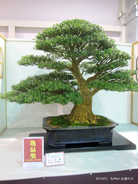 cm20131018___6059c9efae817684bff68e00563