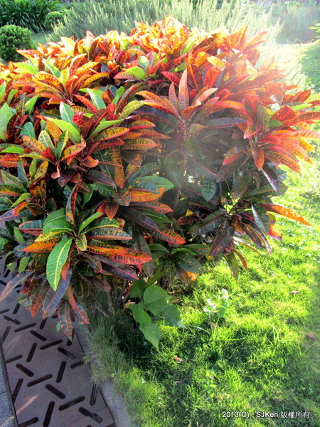 cm20131017___f82e0e4108b4fd8d21cdc242670