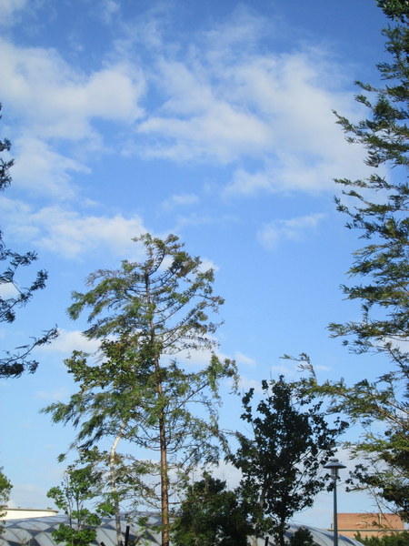 cm20131019___5b2185dc684e85de18b71dcd25f