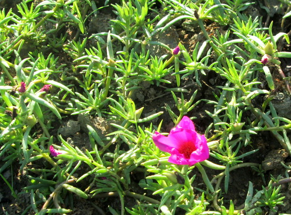 cm20131019___3da98dcda8a921fbef8ec828472