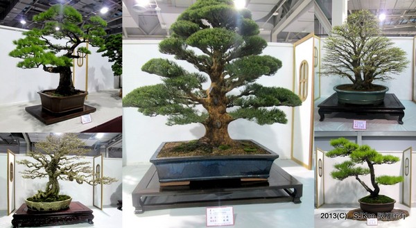 cm20131018___f32b7c156771adf6d220e834caf