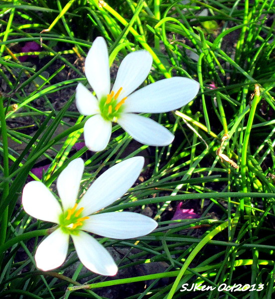 cm20131019___5ada6f7e263014dac23d44b296d