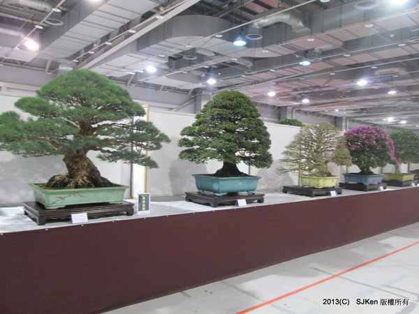 cm20131018___08abb7156295174272843171bd4