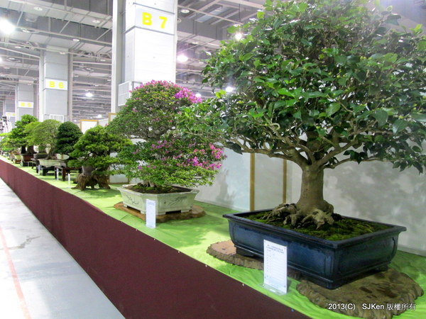 cm20131018___c39d891e12dd46641b02d170f4c