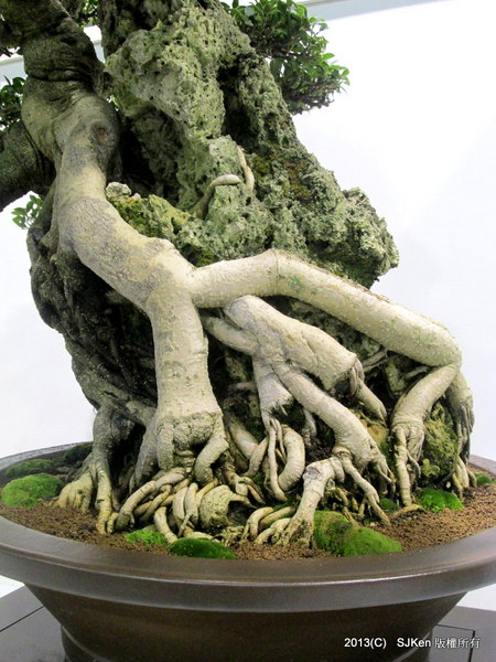 cm20131018___739daed6d0ceed0785c6eec1d4d