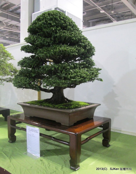 cm20131018___fd4bfefa37c4da2b496bac23cc6