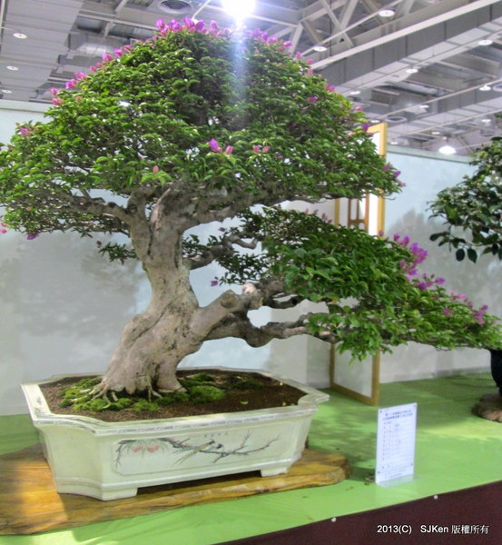 cm20131018___8bb10c7fcfac63b3817b1898e0a