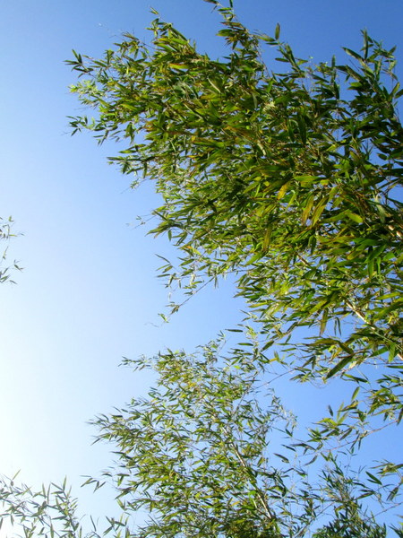 cm20131019___a5ba3de4c95c080ab1a6f768bf1