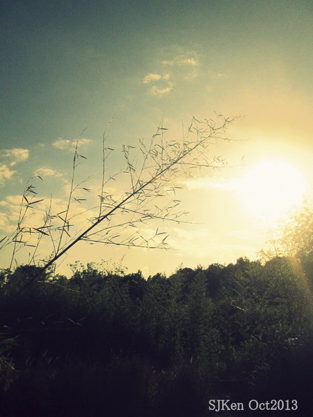 cm20131019___99cc17ac1fad91bfaf504fbff50